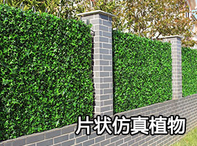 ��˹�����